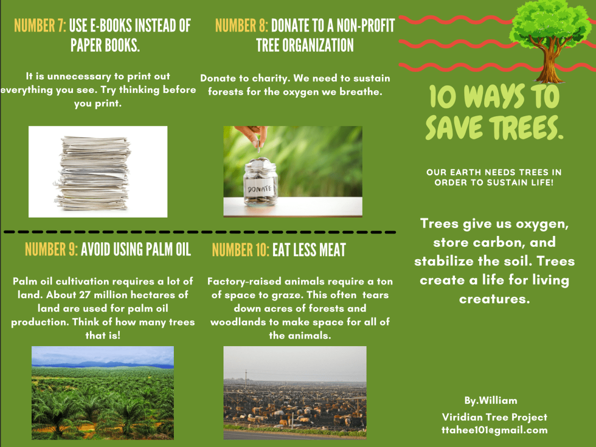 Brochure Hospital Project